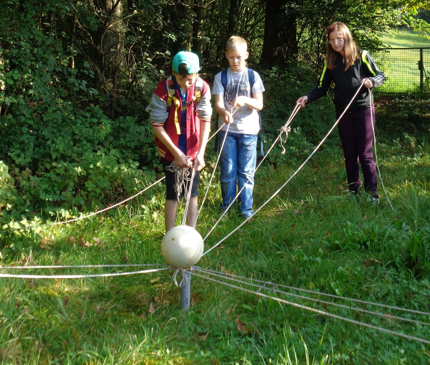 Bild Waldparkour